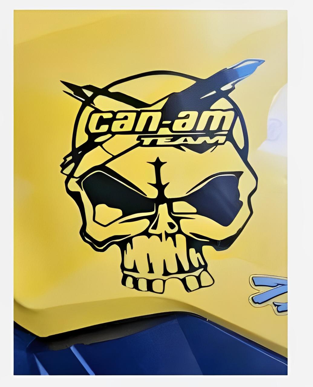 can-am team skull , sport , quad , décalques autocollant ,  stickers vinyl